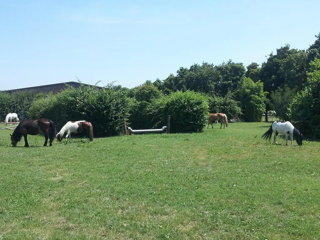 팜스테이 Societa Agricola Le More Agriturismo La Dondina 부드리오