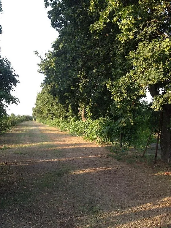 Alloggio per agriturismo Agriturismo La Dondina Budrio